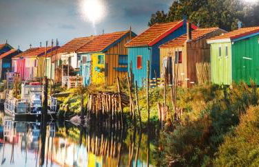 Pomme de Pin et Mimosa - Foto 2