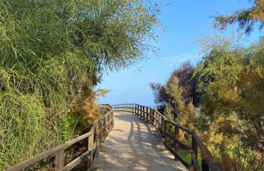 Caballo de Mar - Foto 16