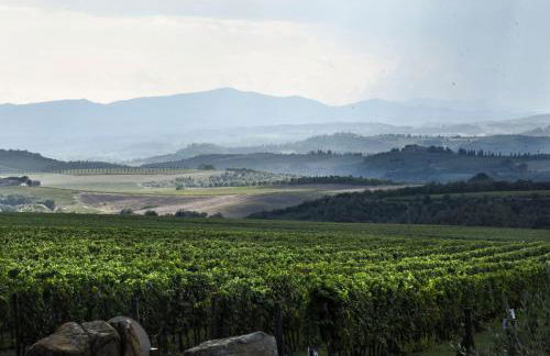 Podere Brizio - Foto 21