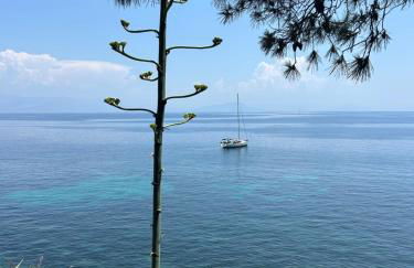 Kipos Mon Repos - Foto 46