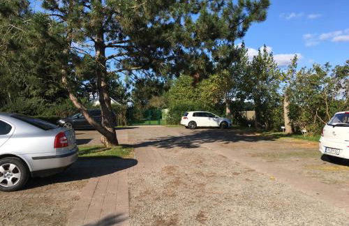 Sterntaler (Landhaus Immenbarg) - Foto 12