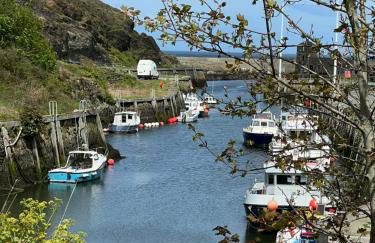 Gors Eilian - Photo 28