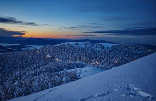 Attico Stella Alpina - Foto 39