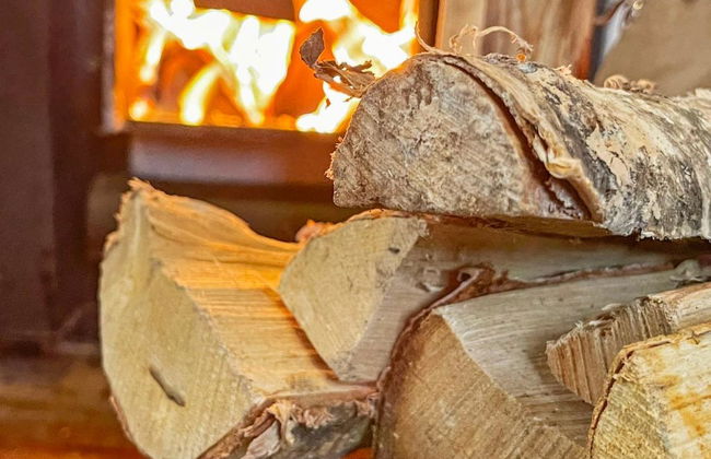 Punatulkku - Foto 33