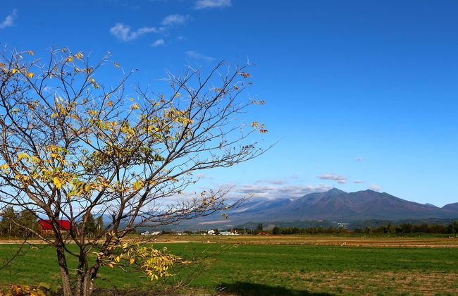 Furano Denen Cottage Nupuri - Foto 20
