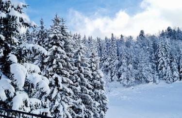 Mountain house Beauty of Laz - Foto 64