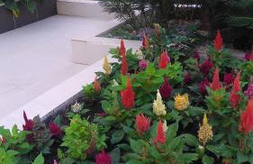 Brava Apart Hotel - Foto 9