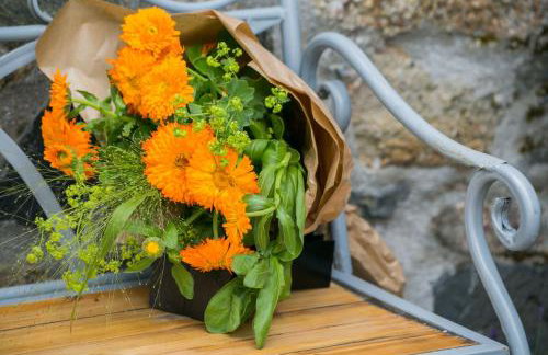 Ysgubor Wennol - Foto 39