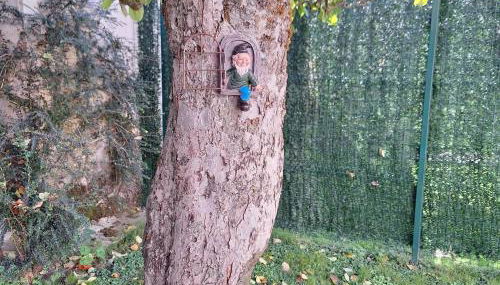 Turismo en Babia Bajo los nidos - Foto 5, Garden