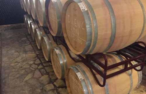 Ferienhaus am Kreuzberg - Nürburgring - Photo 20