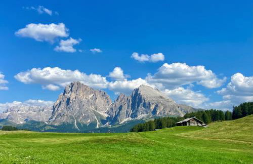 Alpine Chalet CESA VEDLA -nature & silence - Foto 46