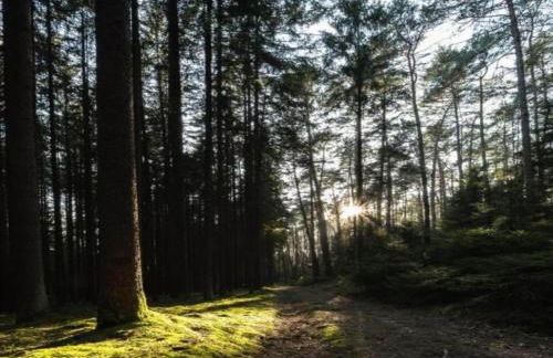 Peaceful Stay in Gehren - Foto 26