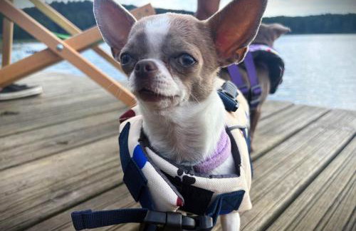 Pasterzewo 19 - Domki na Mazurach - Foto 67