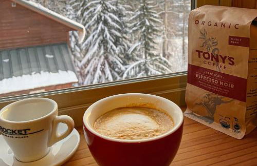 The Skis Knees - Foto 34