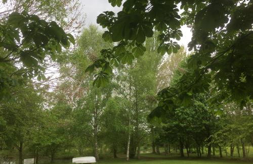 Rose cottage - Photo 7