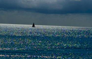 Apartamento primera línea playa Torrevieja El Palmeral - Foto 41