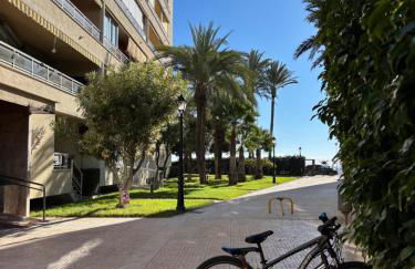 Apartamento primera línea playa Torrevieja El Palmeral - Foto 29