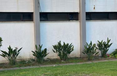 Grandpa's Nook - Torralta- Vista Mar - Photo 14