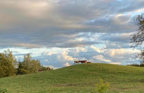 Alpenblick-Steineckhof - Foto 32