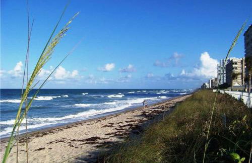 After Dune Delight N287 - Foto 16