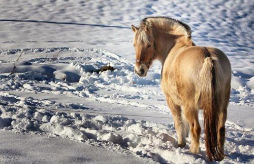 Ferienhof Gerda - Foto 6