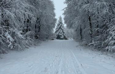 Chalet de charme pied des pistes - Photo 15