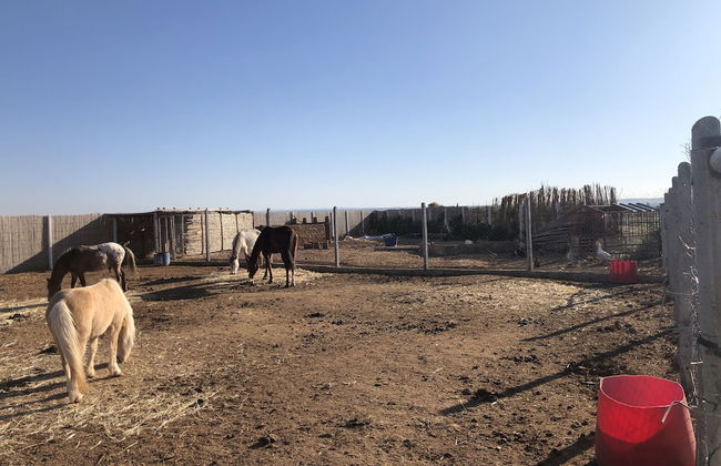 Bio et Bois - Foto 70