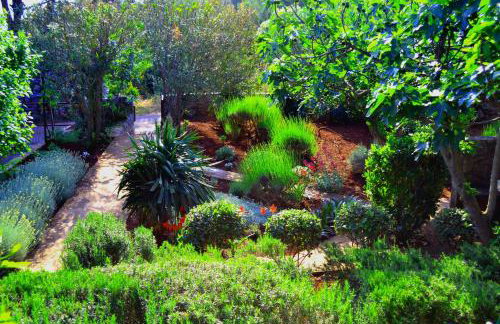 Apartments Basina - Foto 53