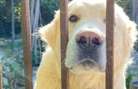 La Casetta Nel Bosco Delle Nereidi - Foto 11