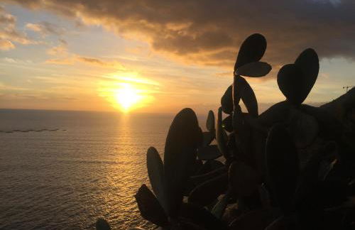 Mango House - Foto 55