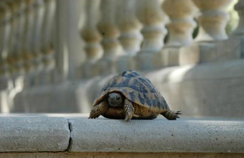 Tenuta il Sassone - Wine&Food - Foto 12