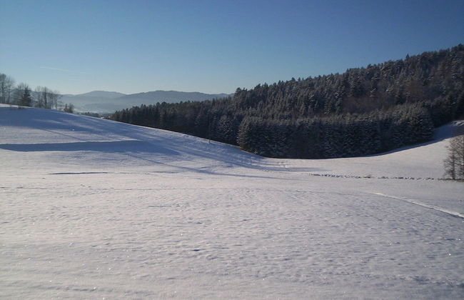 Holiday Home in Rattersberg Bavaria With Terrace - Foto 27