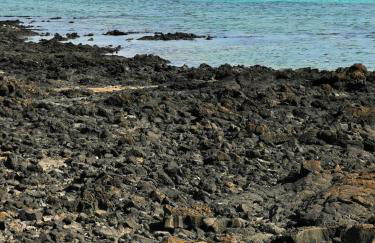 Apartamento La Condesa - Foto 32