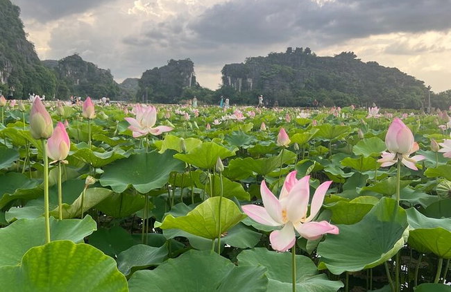 Ninh Binh Luxury Discovery - Foto 6