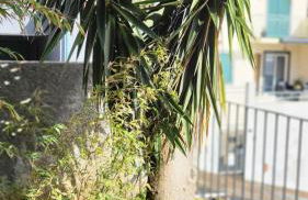 Personal blue house Madeira - Foto 28