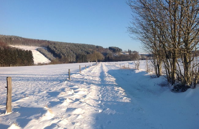 Holiday Home in Odeigne With Sauna - Photo 39