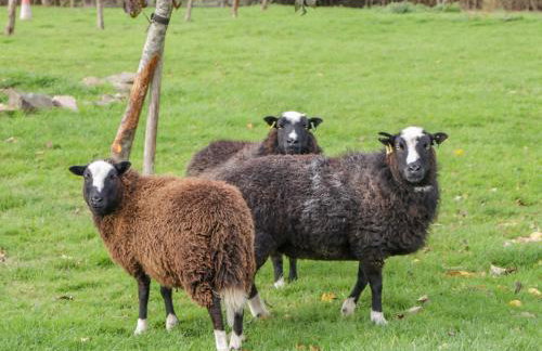 Phoenix House - Foto 50