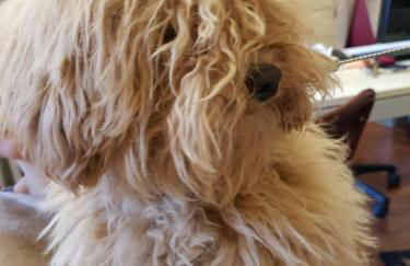 Residence Greco - Foto 40