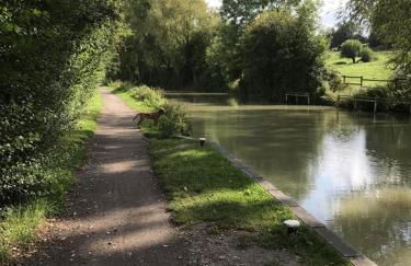 Rew Farm Country and Equestrian Accommodation - Sunset Lodge - Photo 37