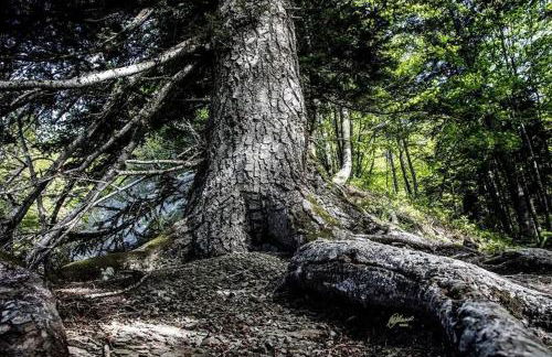 Comfortable Chalet in Giarola with Mountain View - Foto 40