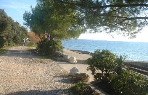 Villa Laurus I - Foto 54