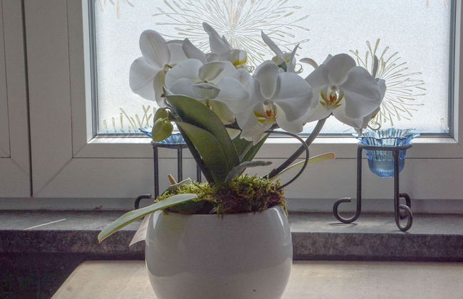 Inviting Chalet in Westouter With Garden - Foto 21