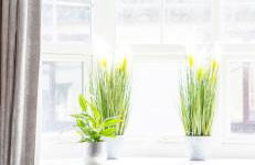 Driftwood Luxury Apartment - Photo 17