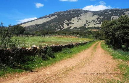 Casa Rural Miel y Romero - Foto 30