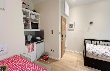 301 Self contained studio in heart of London - Foto 8