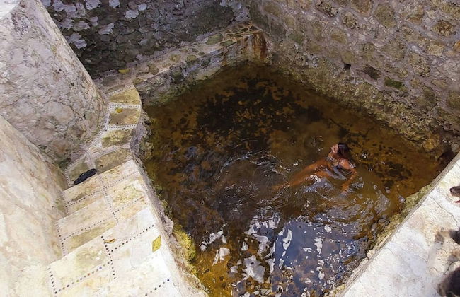 Mini Pini Birdwatching and Cenote Loft4 you Only - Foto 33