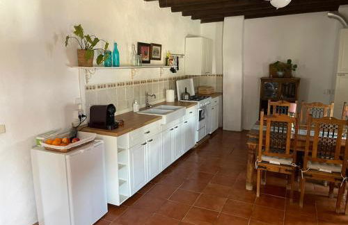 Experience Alpacas in Andalucia - Foto 12