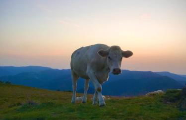 Schwalmala Logement calme au coeur du vignoble - Foto 17