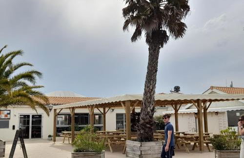 Mobil home camping les Charmettes 4 étoiles les MATHES en Charente Maritime prés du ZOO de la Palmyre 8 personnes tout confort 3 chambres 2salles de bains 2 WC Lave linge lave vaisselle Climatisation bien situé - Foto 32