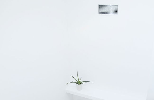 Ortiquattro - Photo 13